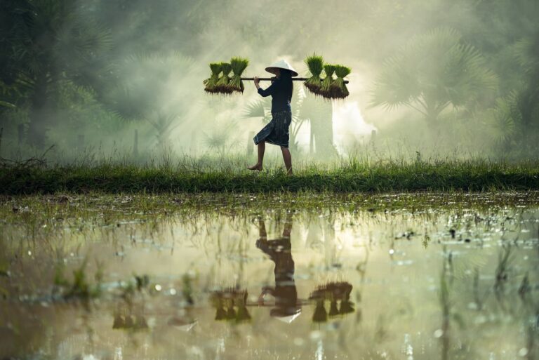 Starting Anew, Stripping Away What We Have Been Taught